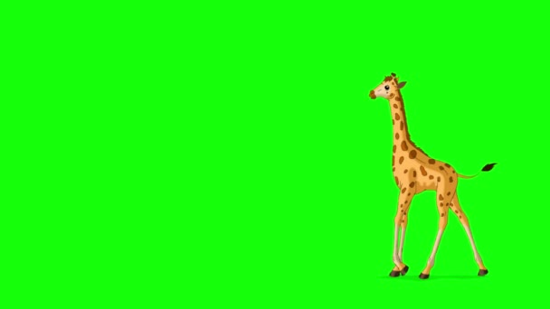 Kleine Baby Giraf Rent Heen Weer Handgemaakte Geanimeerde Beelden Geïsoleerd — Stockvideo