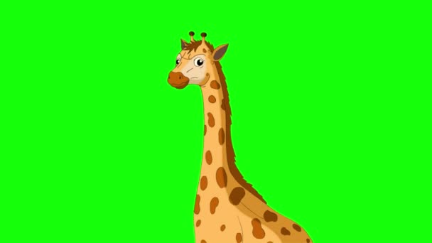 Malá Žirafa Zblízka Ruční Animované Záběry Izolované Zelené Obrazovce — Stock video