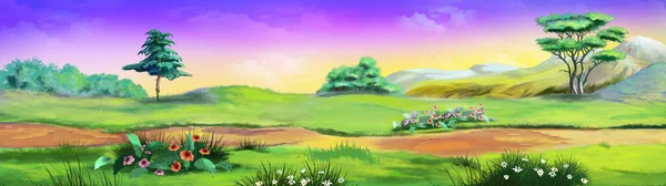 夏日阳光灿烂 穿过绿茵的草地 数码绘画背景 — 图库照片