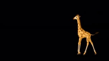 Küçük bebek zürafa ileri geri yürür. El yapımı animasyon 4K görüntüleri alfa kanalı ile izole edildi