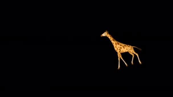 Grote Giraffe Loopt Heen Weer Extreme Gok Handgemaakte Geanimeerde Beelden — Stockvideo