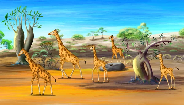 Afrykańskie Żyrafy Rodzinne Chodzenie Savannah Cyfrowy Malarstwo Kreskówka Styl Pełny — Zdjęcie stockowe
