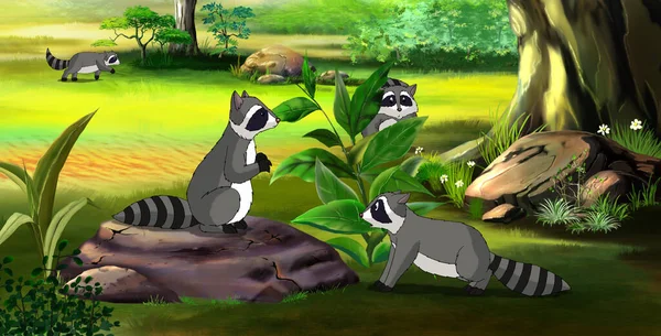Raccoon Family Spring Forest Digital Painting Cartoon Style Full Color — Stock Photo, Image