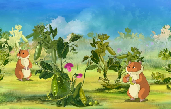 Two Hamsters Pea Field Digital Painting Cartoon Style Full Color — Stock Photo, Image