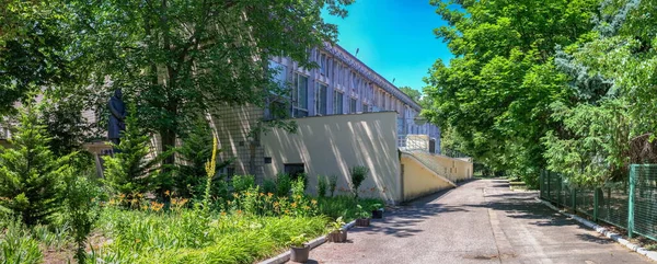 Odessa Ukraina 2022 Stary Park Chkalov Sanatorium Odessie Ukraina Słoneczny — Zdjęcie stockowe