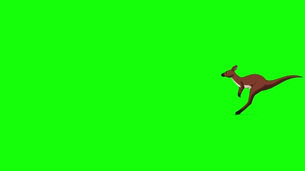 Corriendo Canguro Australiano Tiro Largo Imágenes Animadas Hechas Mano Aisladas — Vídeos de Stock