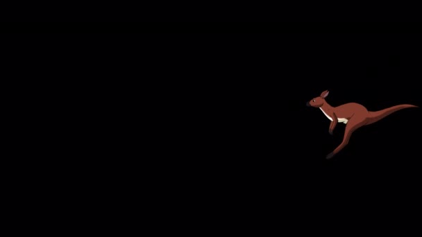 Запуск Австралійського Кенгуру Анімовані Кадри Ручної Роботи Ізольовані Допомогою Альфа — стокове відео