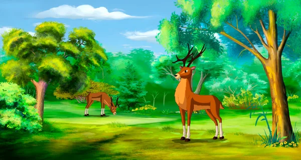 Deer Forest Sunny Summer Day Digital Painting Background Illustration — Stockfoto