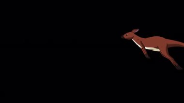 Avustralya kangurusu işletiyorum. El yapımı animasyon 4K görüntüleri alfa kanalı ile izole edildi