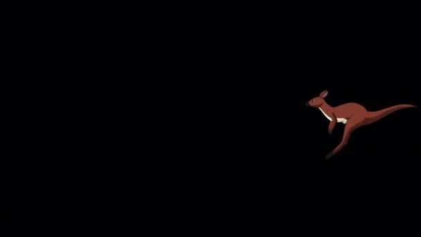 Correndo Canguru Australiano Tiro Escuro Imagens Animadas Artesanais Isoladas Com — Vídeo de Stock