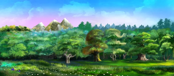 Stromy Lese Slunečného Letního Dne Digitální Malba Pozadí Ilustrace — Stock fotografie