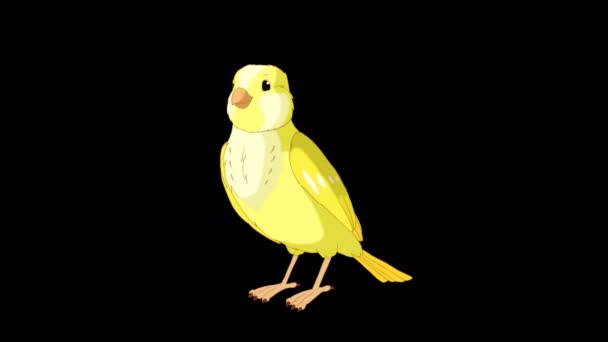 Yellow Canary Bows Handmade Animated Looped Footage Isolated Alpha Channel — 비디오