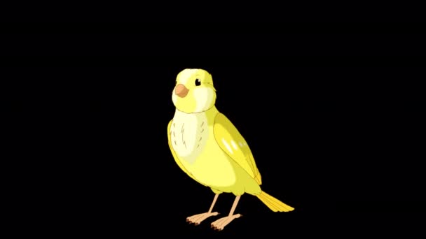 Singing Yellow Canary Handmade Animated Looped Footage Isolated Alpha Channel — Video Stock