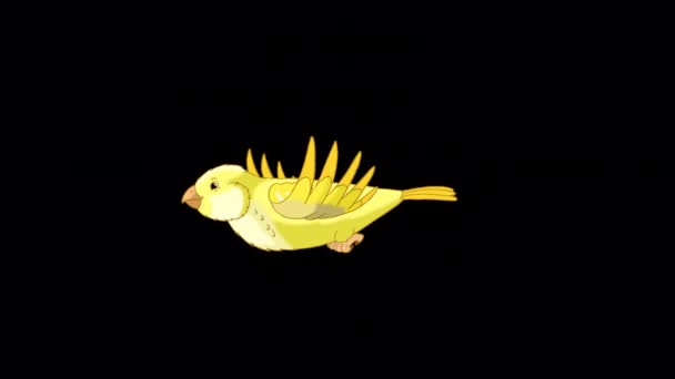 Żółte Muchy Kanarka Ręcznie Robione Animowane Filmy Izolowane Kanale Alfa — Wideo stockowe
