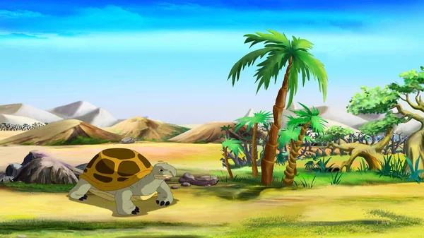 Grote Afrikaanse Schildpad Buurt Van Palmboom Een Zonnige Dag Digitale — Stockfoto