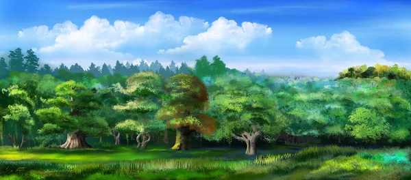 蓝天下的绿色森林 数码绘画背景 — 图库照片