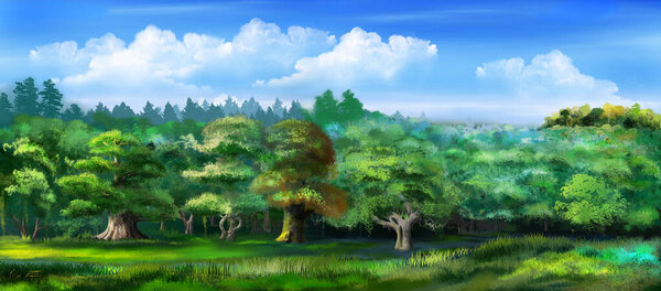 Green forest under a blue sky. Digital Painting Background, Illustration.