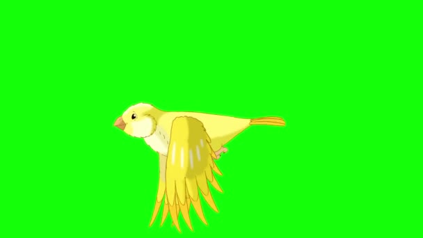 Yellow Canary Flies Handmade Animated Looped Footage Isolated Green Screen — 비디오