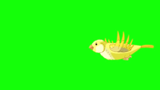 Flying Yellow Canary Handmade Animated Looped Footage Isolated Green Screen — Video