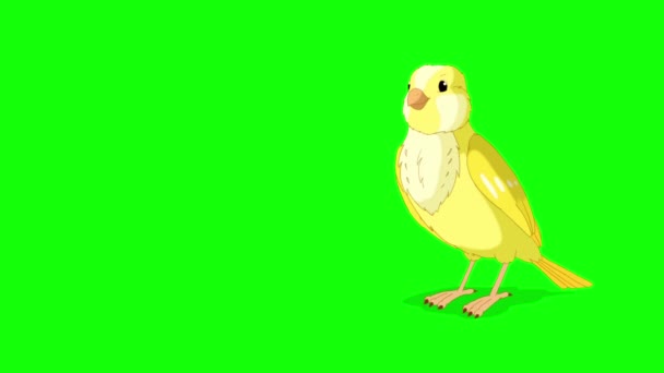 Yellow Canary Flies Pecks Handmade Animated Looped Footage Isolated Green — 图库视频影像