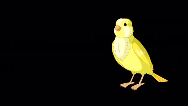 Yellow Canary Flies Pecks Handmade Animated Looped Footage Isolated Alpha — Stockvideo