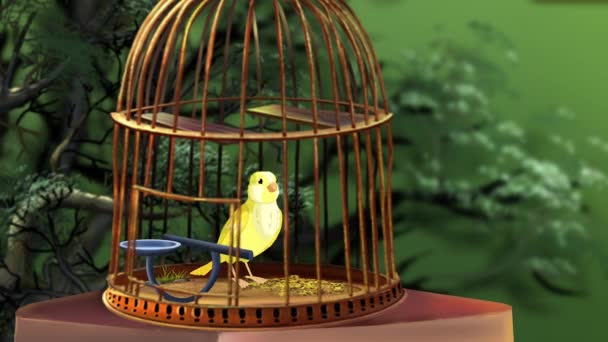 Domestic Yellow Canary Cage Handmade Animated Looped Footage — Αρχείο Βίντεο