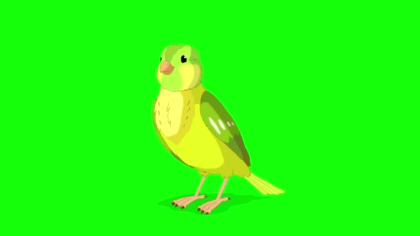 Green Canary Bows Handmade Animated Looped Footage Isolated Green Screen — Stok video