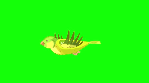 Green Canary Flies Handmade Animated Looped Footage Isolated Green Screen — Stockvideo
