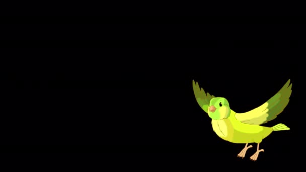 Зелений Канарка Злітає Літає Анімовані Кадри Ручної Роботи Ізольовані Альфа — стокове відео