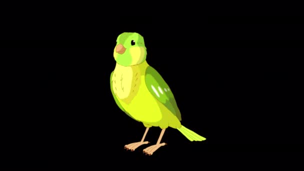 Green Canary Bows Handmade Animated Looped Footage Isolated Alpha Channel — Vídeo de Stock