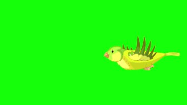 Flying Green canary. Handmade animated looped 4K footage isolated on green screen