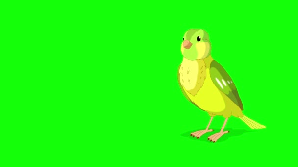 Green Canary Flies Pecks Handmade Animated Looped Footage Isolated Green — Stockvideo