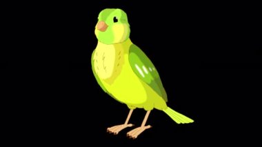 Green canary pecks grain. Handmade animated looped 4K footage isolated on alpha channel