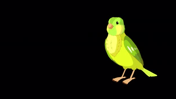 Green Canary Flies Pecks Handmade Animated Looped Footage Isolated Alpha — Αρχείο Βίντεο