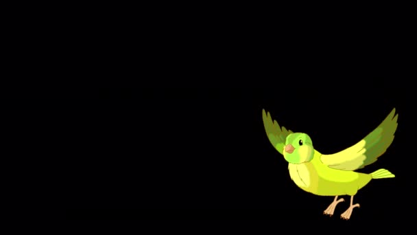 Green Canary Takes Flies Handmade Animated Footage Isolated Alpha Channel — Vídeo de stock