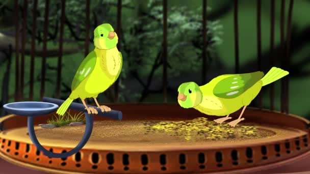 Domestic Green Canary Cage Handmade Animated Looped Footage — Video Stock