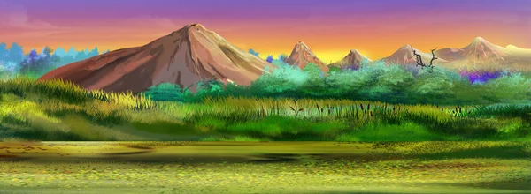 Foothill Landscape Dawn Digital Painting Background Illustration — ストック写真