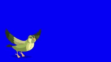 Green wood warber bird takes off and flies. Handmade animated looped HD footage isolated on blue color screen
