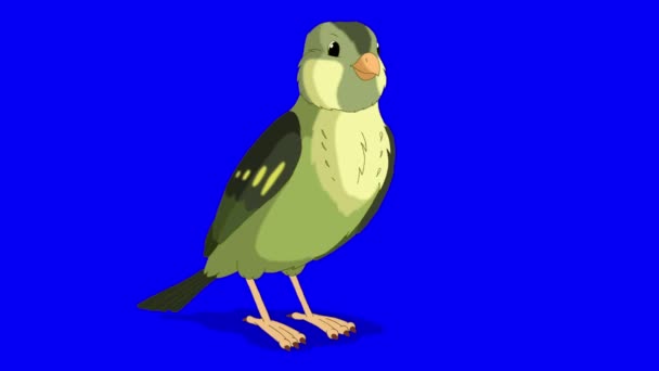 Green Wood Warber Bird Pecks Grain Handmade Animated Looped Footage — Vídeo de Stock
