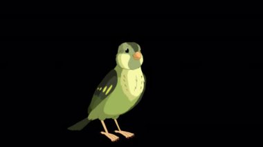 Singing Green wood warber bird. Handmade animated looped HD footage isolated with alpha channel