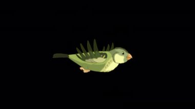 Green wood warber bird flies. Handmade animated looped HD footage isolated with alpha channel