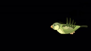 Flying Green wood warber bird. Handmade animated looped HD footage isolated with alpha channel