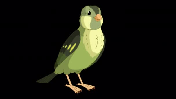 Green Wood Warber Bird Pecks Grain Handmade Animated Looped Footage — Stockvideo
