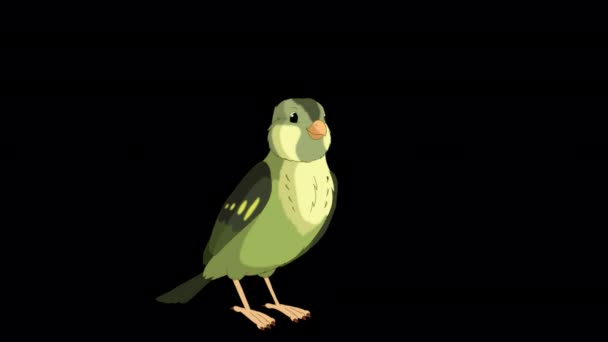 Singing Green Wood Warber Bird Handmade Animated Looped Footage Isolated — Αρχείο Βίντεο