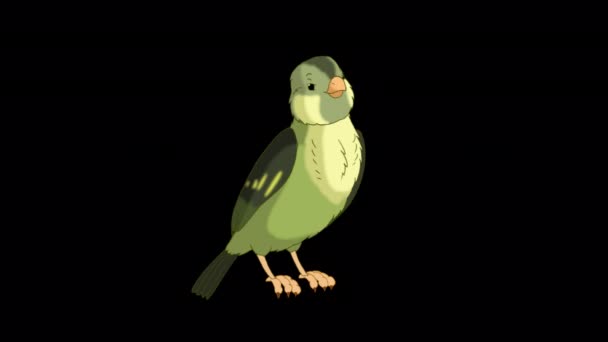 Green Wood Warber Bird Twittering Handmade Animated Looped Footage Isolated — Stockvideo