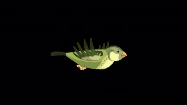 Green Wood Warber Bird Flies Handmade Animated Looped Footage Isolated — Αρχείο Βίντεο