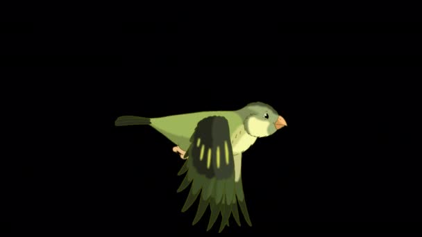 Green Wood Warber Bird Flies Handmade Animated Looped Footage Isolated — Stock Video