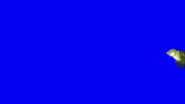 Flying Green forest bird long view. Handmade animated looped 4K footage isolated on blue color screen