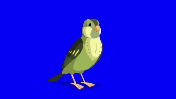 Green Forest Bird Say Hello Handmade Animated Looped Footage Isolated — Stockvideo