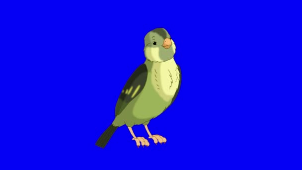 Green Forest Bird Singing Handmade Animated Looped Footage Isolated Blue — Stockvideo